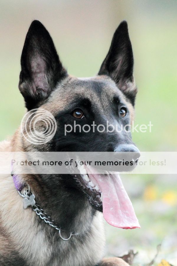 Fotografie