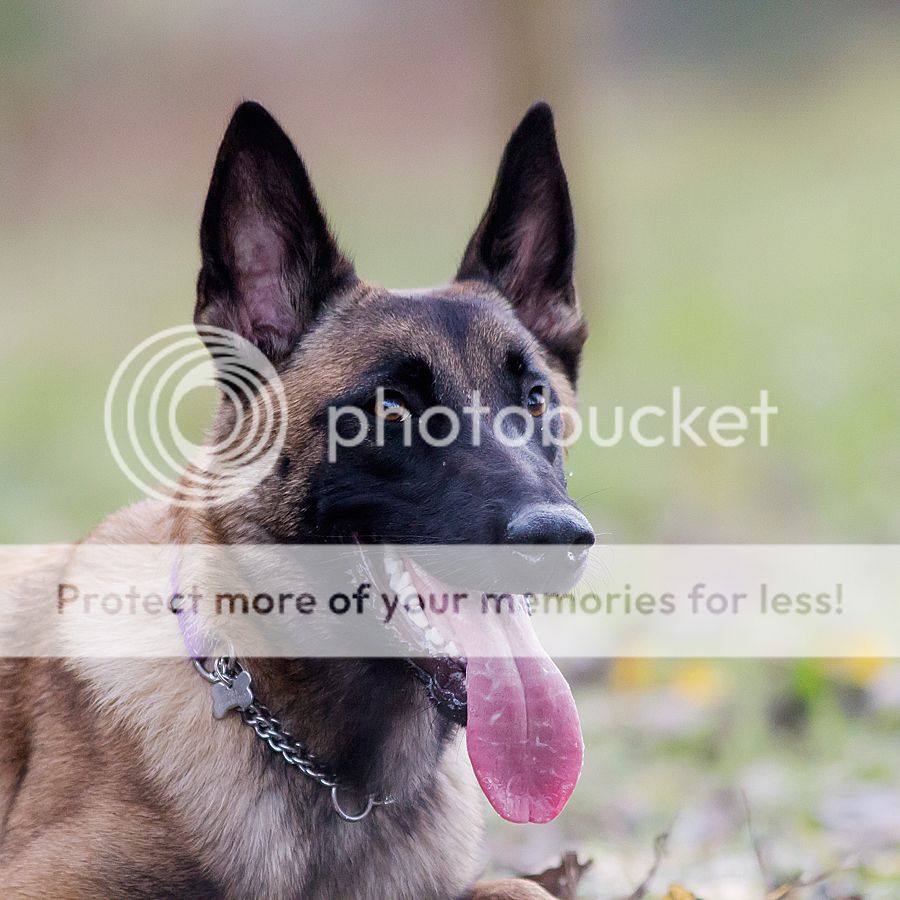 Fotografie
