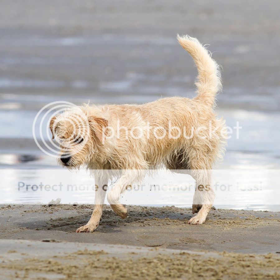 Fotografie