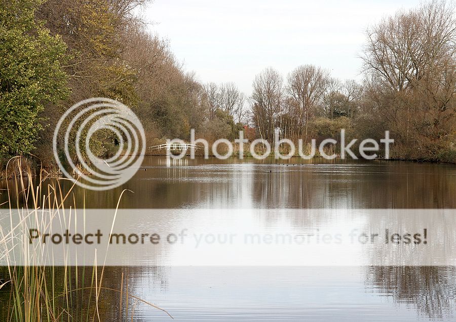 Fotografie