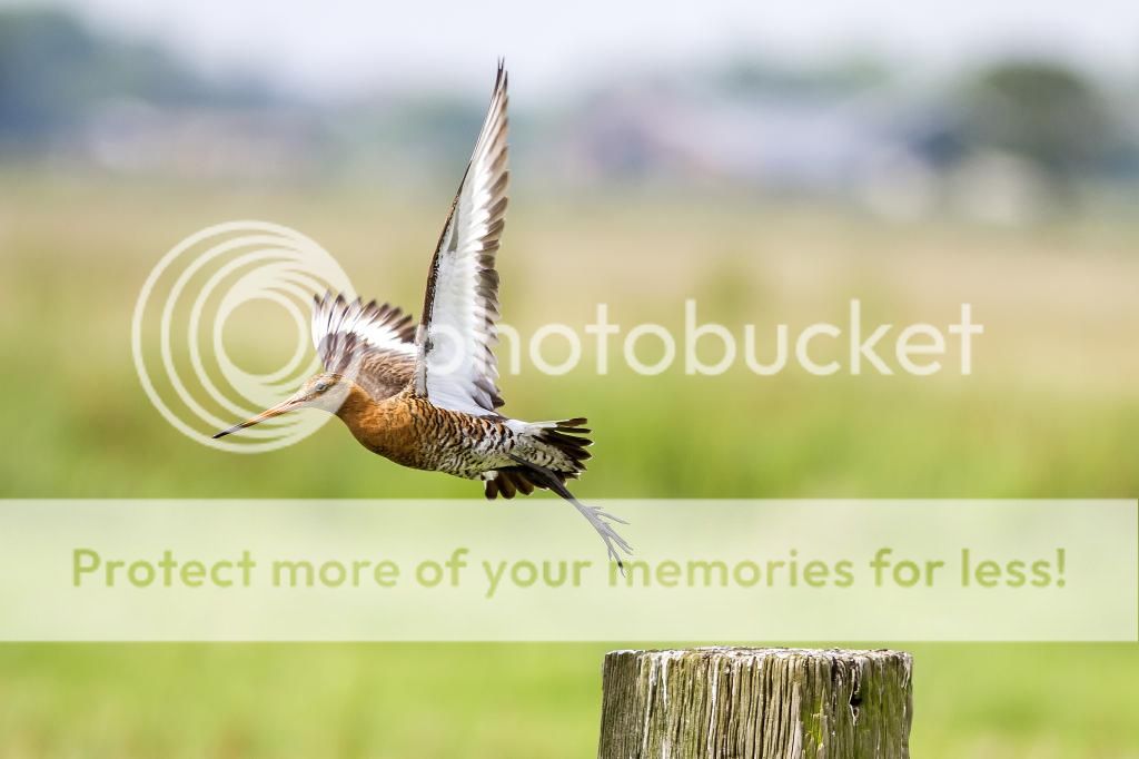 Fotografie