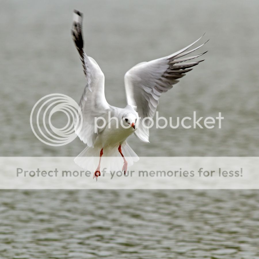Fotografie