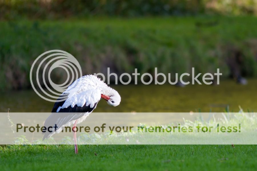 Fotografie
