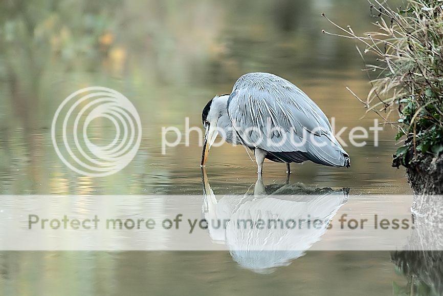 Fotografie