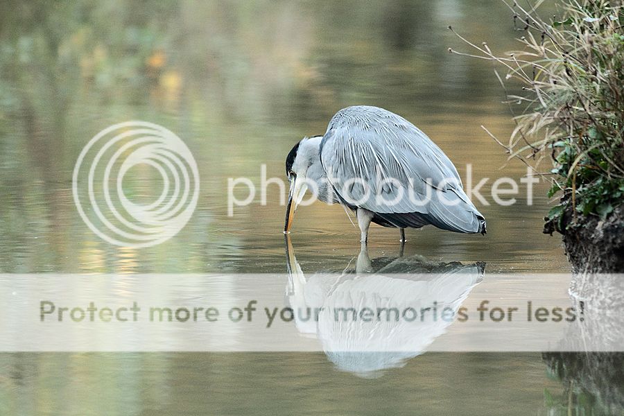Fotografie