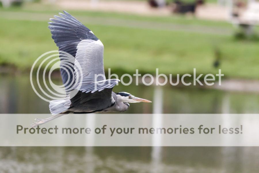Fotografie