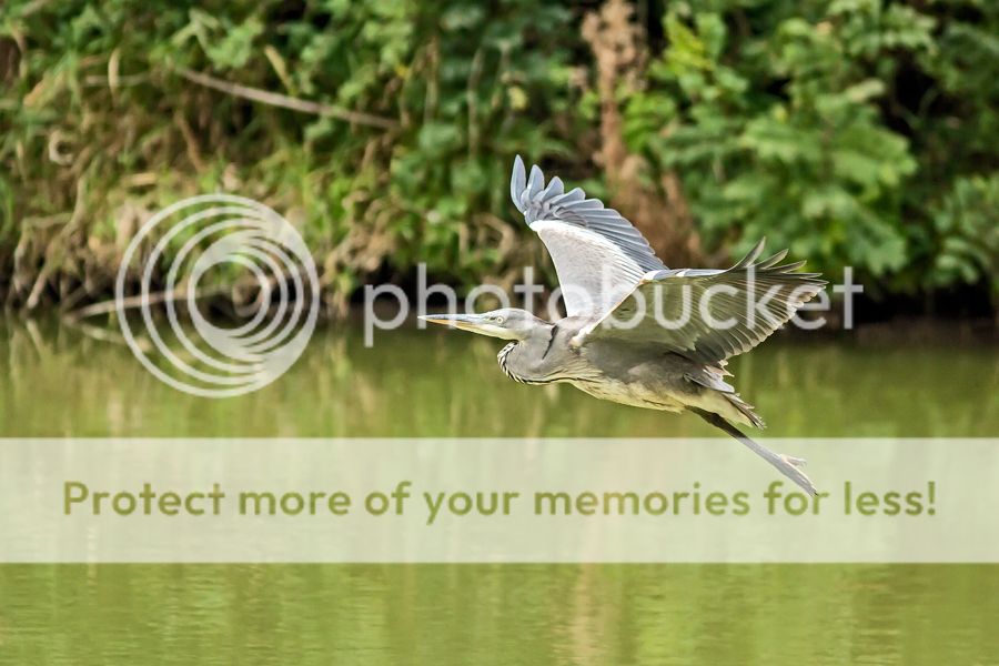 Fotografie