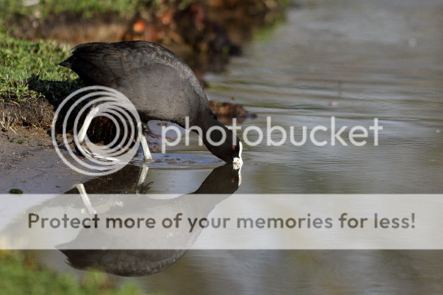 Fotografie