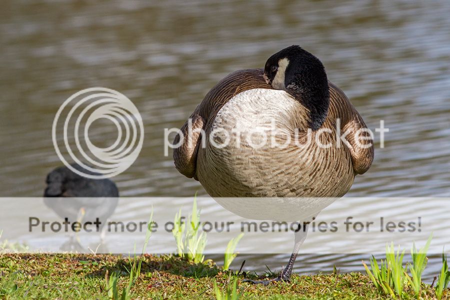 Fotografie