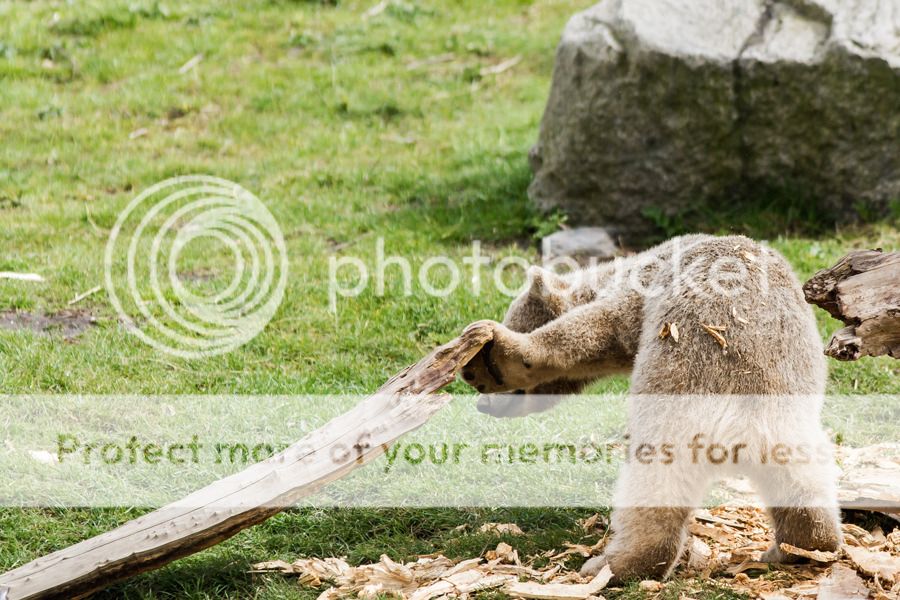 Fotografie