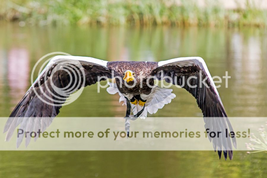 Fotografie