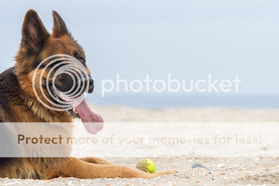 Fotografie