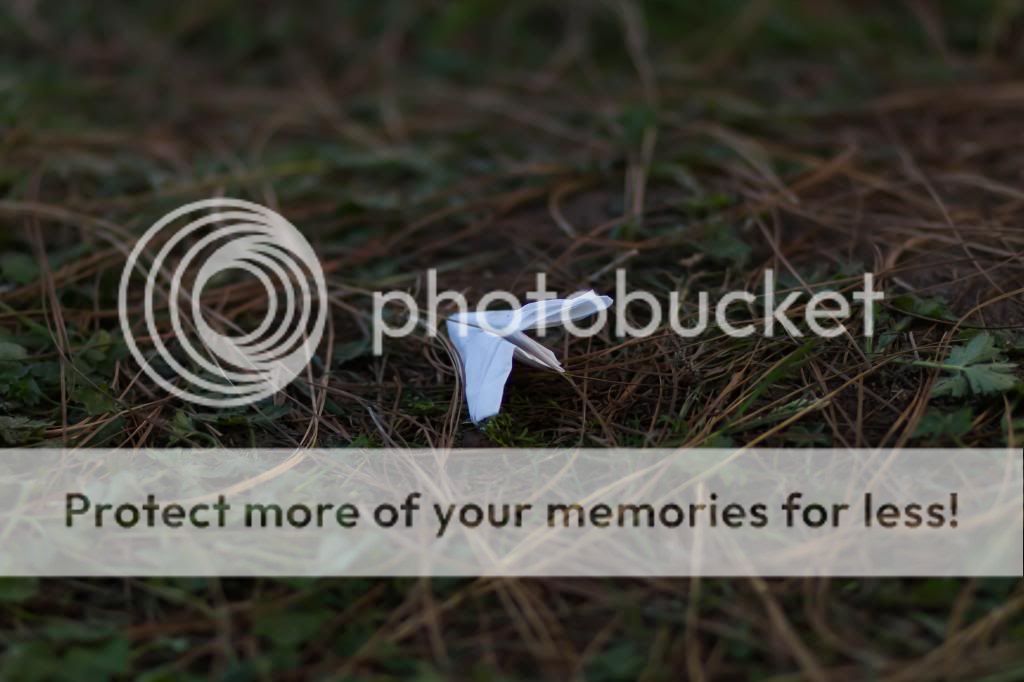 IMAGE: http://i1349.photobucket.com/albums/p748/danielkop/IMG_1645_zps1eddc045.jpg