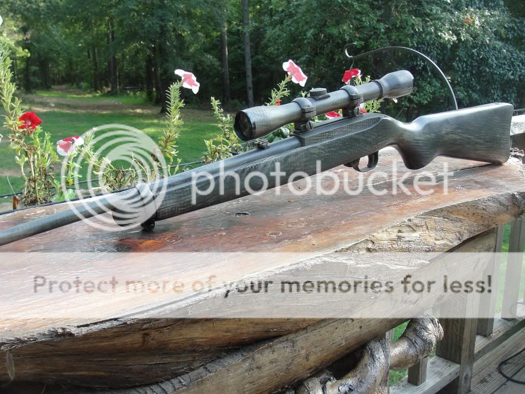 1022 Camo Paint Job Ruger Forum