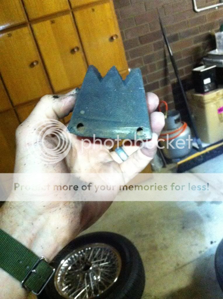 IMG_1590_zps1554deb1.jpg