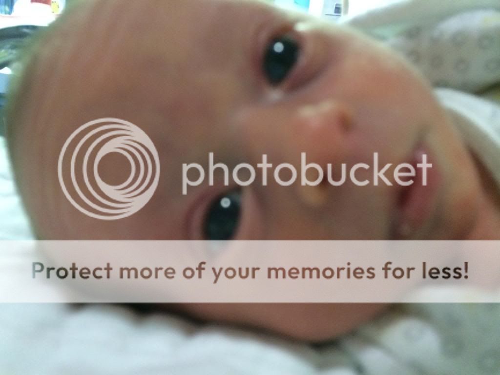 photo IMG_0328_zps83984c94.jpg