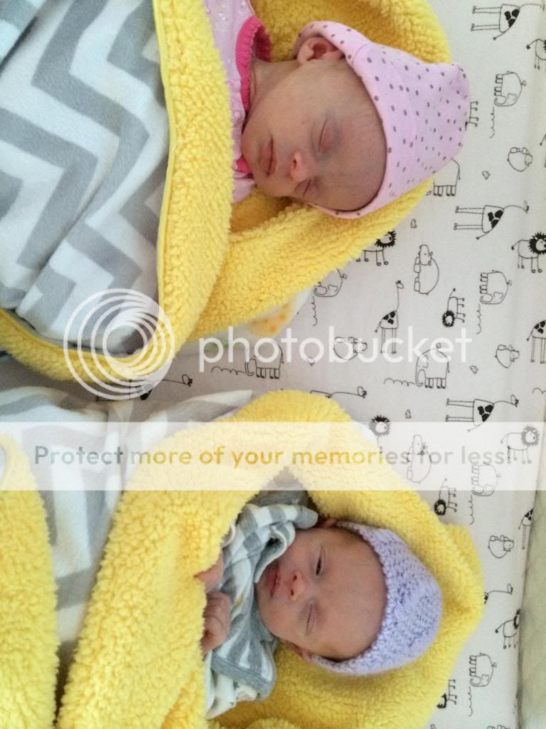 photo IMG_0365_zpsd87f0480.jpg