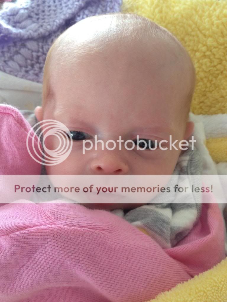 photo IMG_0386_zps2cacd5eb.jpg