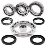 Suzuki LTA500 QUADMASTER ATV Bearings /& Seals Kit Front Wheel 2000-2001