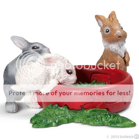 Photobucket Pictures, Images and Photos