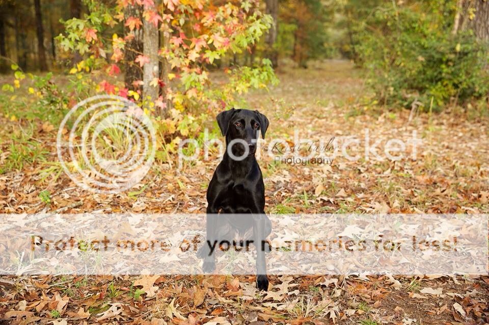 photo image_zps9b119af7.jpg